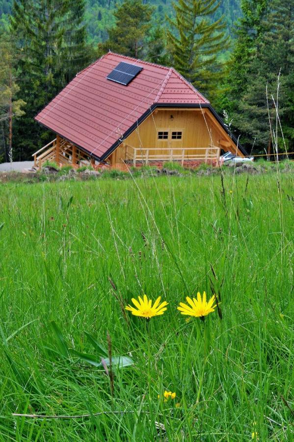 Kamp Beli Gaber Hotell Stari Trg pri Lozu Exteriör bild